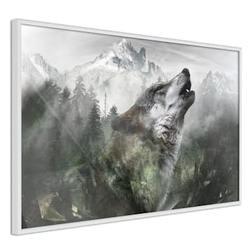 Poster Artgeist Affisch Howling Wolf