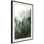 Poster Artgeist Affisch Coniferous Forest