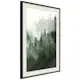 Poster Artgeist Affisch Coniferous Forest