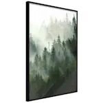 Poster Artgeist Affisch Coniferous Forest