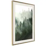 Poster Artgeist Affisch Coniferous Forest