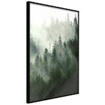 Poster Artgeist Affisch Coniferous Forest