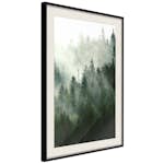 Poster Artgeist Affisch Coniferous Forest
