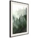 Poster Artgeist Affisch Coniferous Forest