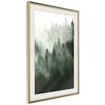 Poster Artgeist Affisch Coniferous Forest