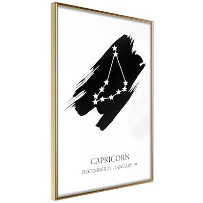 Poster Arkiio Affisch Zodiac Signs Capricorn