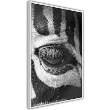 Poster Artgeist Affisch Zebra Eye