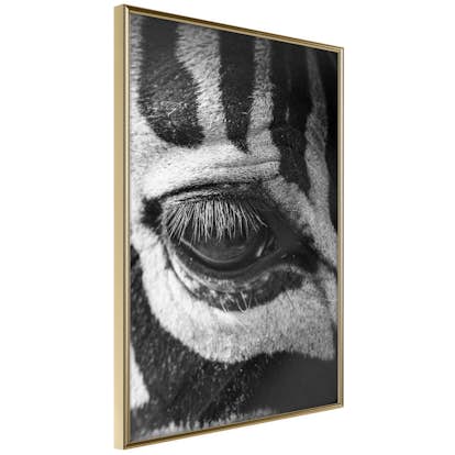 Poster Artgeist Affisch Zebra Eye