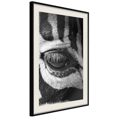 Poster Artgeist Affisch Zebra Eye
