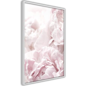 Poster Artgeist Affisch Fluffy Peonies