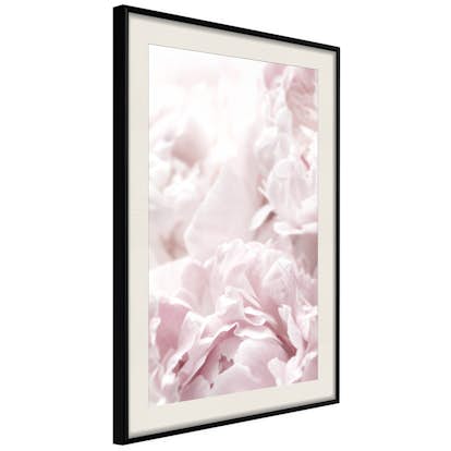 Poster Artgeist Affisch Fluffy Peonies