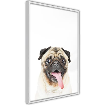 Poster Artgeist Affisch Pug