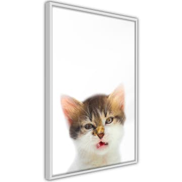 Poster Artgeist Affisch Vexed Cat