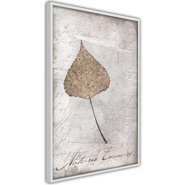 Poster Artgeist Affisch Natures Treasures