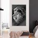 Poster Arkiio Affisch Blue-eyed Lion