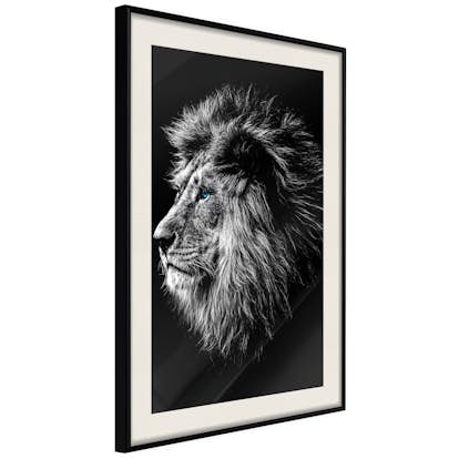 Poster Artgeist Affisch Blue-eyed Lion