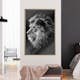 Poster Artgeist Affisch Blue-eyed Lion