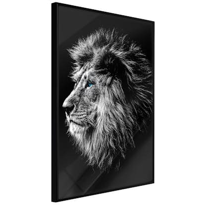 Poster Artgeist Affisch Blue-eyed Lion