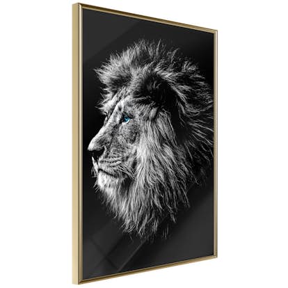Poster Artgeist Affisch Blue-eyed Lion