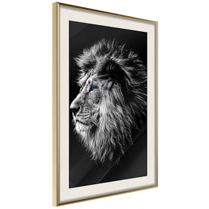 Poster Artgeist Affisch Blue-eyed Lion