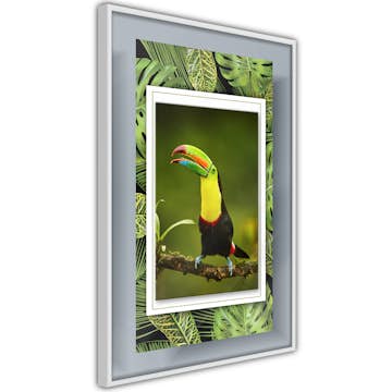 Poster Artgeist Affisch Toucan