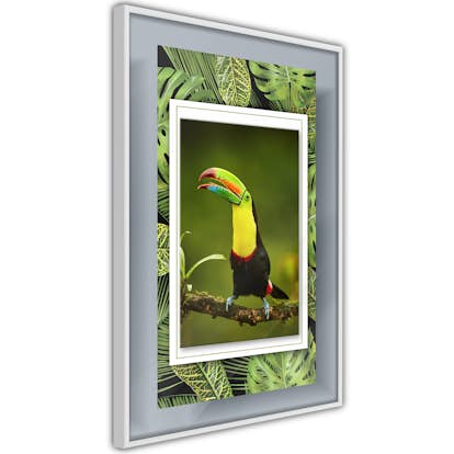 Poster Artgeist Affisch Toucan