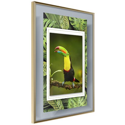 Poster Artgeist Affisch Toucan