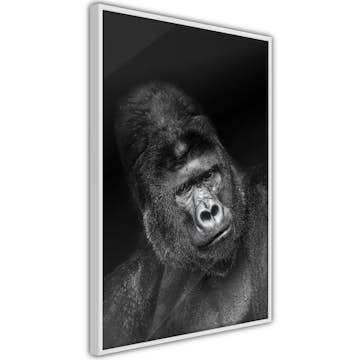 Poster Artgeist Affisch Gorilla