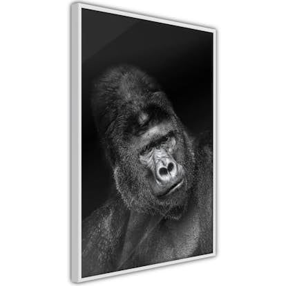 Poster Artgeist Affisch Gorilla
