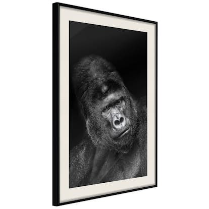 Poster Artgeist Affisch Gorilla