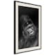 Poster Artgeist Affisch Gorilla