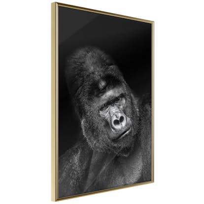 Poster Artgeist Affisch Gorilla