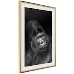 Poster Artgeist Affisch Gorilla