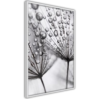 Poster Artgeist Affisch Morning Dew