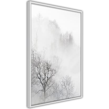 Poster Artgeist Affisch Trees In The Fog
