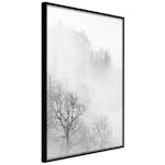 Poster Artgeist Affisch Trees In The Fog