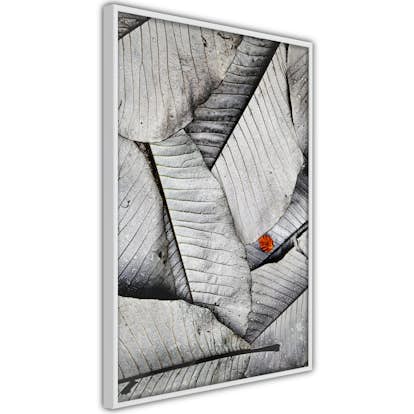 Poster Artgeist Affisch Black And White Leaves