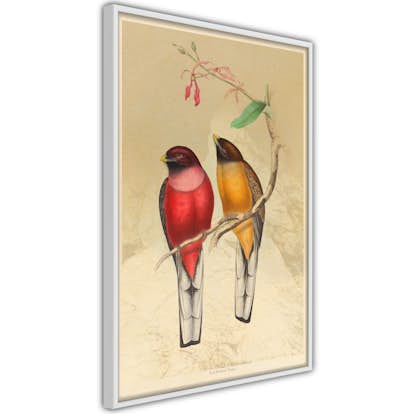 Poster Artgeist Affisch Birds Twig