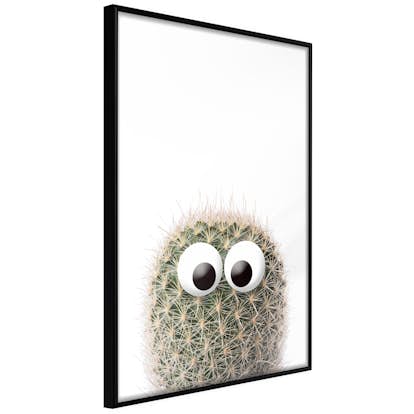 Poster Artgeist Affisch Cactus With Eyes