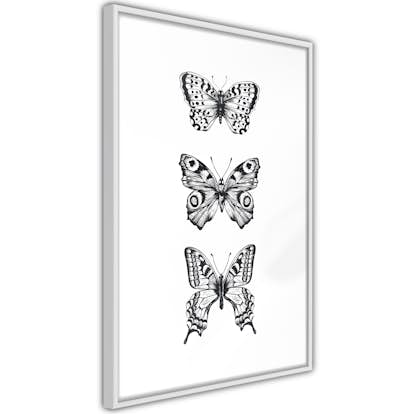 Poster Artgeist Affisch Three Butterflies
