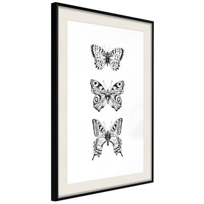 Poster Artgeist Affisch Three Butterflies