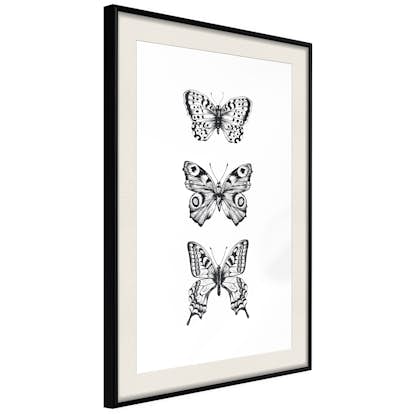 Poster Artgeist Affisch Three Butterflies