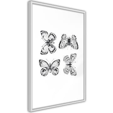 Poster Artgeist Affisch Four Butterflies