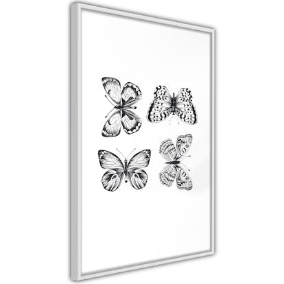 Poster Artgeist Affisch Four Butterflies