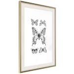 Poster Artgeist Affisch Five Butterflies