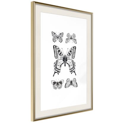 Poster Artgeist Affisch Five Butterflies