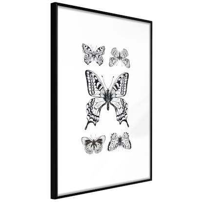 Poster Artgeist Affisch Five Butterflies