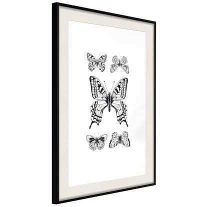 Poster Artgeist Affisch Five Butterflies