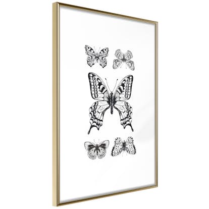 Poster Artgeist Affisch Five Butterflies