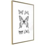 Poster Artgeist Affisch Five Butterflies